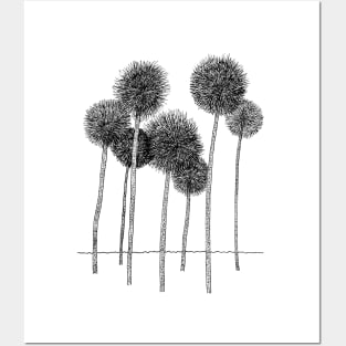 Dandelions Posters and Art